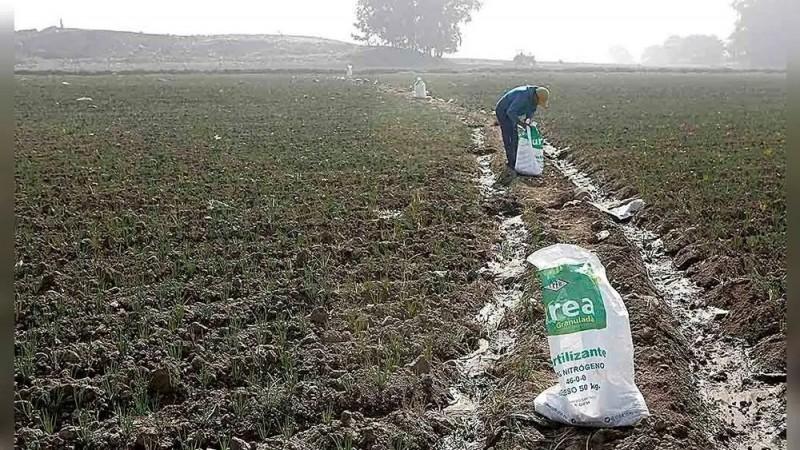 Urea se desploma hasta US$300 por tonelada tras récord histórico de abril