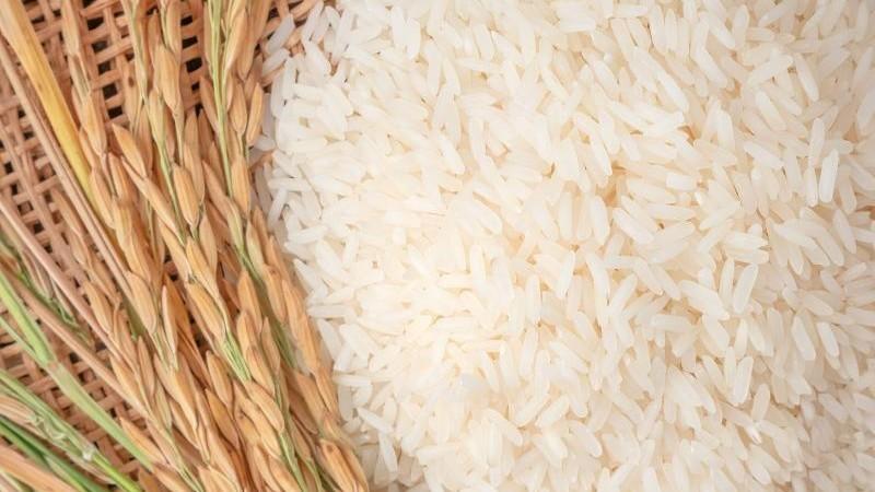 Uruguay y Brasil concentraron el 87% del volumen de arroz importado por Perú en 2025