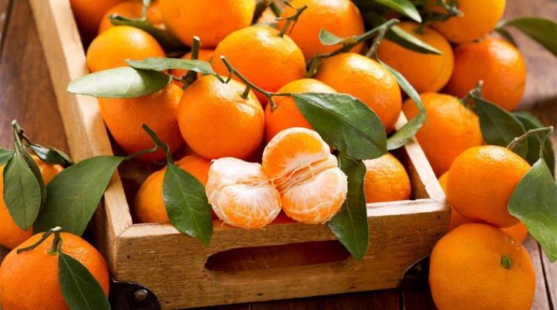 USDA: Producción mundial de mandarinas alcanzaría las 37.9 millones de toneladas en campaña 2021/2022