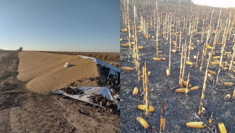 Vandalismo rural en Argentina: denuncian ataques a reservorios de grano y la quema de un campo de maíz