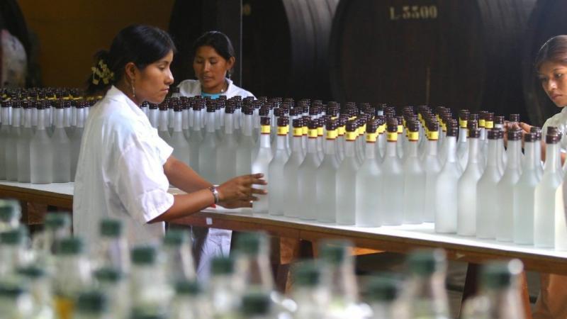 “Vemos con entusiasmo nuevos nichos para el pisco peruano en Asia, Canadá y Centroamérica”