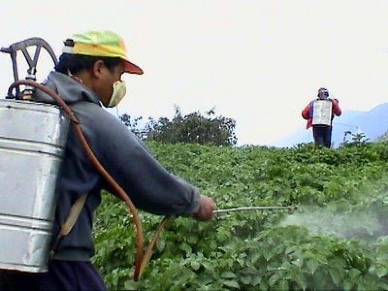 VENTAS DE AGROQUÍMICOS SE CONTRAERÍAN 4% ESTE AÑO