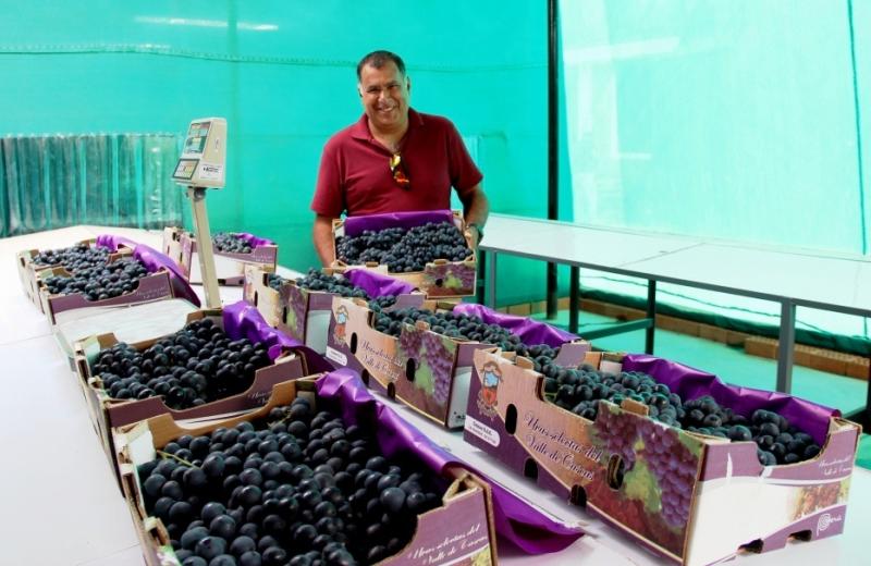 Ventas de Productores de la Región Macro Norte asesorados por Sierra y Selva Exportadora crecieron 332% entre enero y junio del 2016