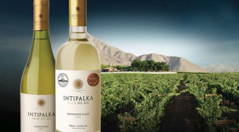 Vinos peruanos son premiados en el International Wines Challenge 2017 del Reino Unido