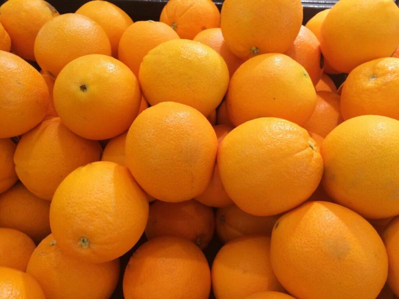 Volumen de naranjas importado por la UE crece 76.6% en volumen en el primer bimestre del año