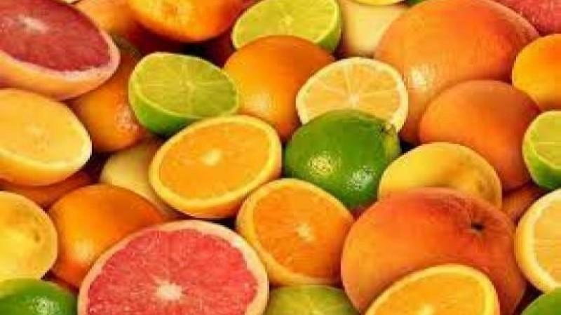 WCO: producción de cítricos del hemisferio sur alcanzaría las 26.409.093 toneladas en 2026