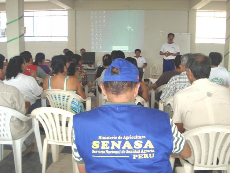 YA SE ENTREGÓ EL 91% DE KITS DESTINADOS AL VRAEM PARA MITIGAR ROYA DE CAFÉ 