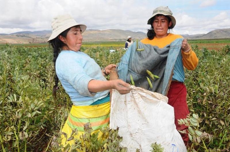 “INVERTIR EN AGRICULTURA ES RENTABLE ADEMÁS REDUCE HAMBRE Y POBREZA”