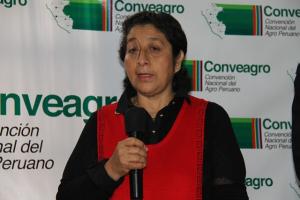 “AGRICULTURA FAMILIAR NO ES LA CAUSANTE DE LA DEFORESTACIÓN EN BOSQUES AMAZÓNICOS”