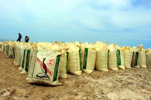 1.210 toneladas guano de las islas serán comercializados en Junín