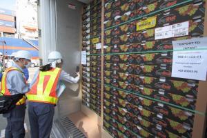 2.000 cajas de uva de mesa Allison de Perú llegaron a Japón