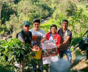 20 productores de café especiales de Cajamarca participarán en subasta y rueda de negocios de Expocafé