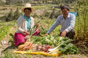 26 productores agroecológicos exhiben sus productos en rueda de negocios