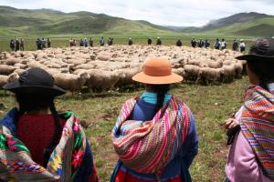 2,8 MILLONES DE MUJERES PERUANAS SE DEDICAN A LA ACTIVIDAD AGRARIA
