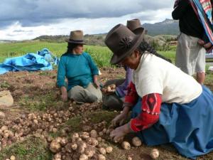 40% DE LAS ACTIVIDADES AGROPECUARIAS ESTÁN A CARGO DE LA MUJER RURAL