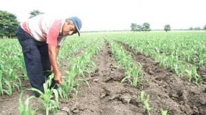 50 juntas de usuarios de agua tendrán nueva directiva a fin de mes