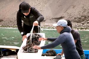 6 mil pescadores artesanales extraen moluscos bivalvos de manera segura