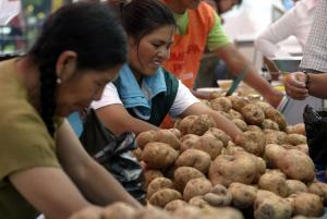 72 por ciento de nuestros lectores no está de acuerdo con que se usen dineros públicos para comprar excedentes de producción