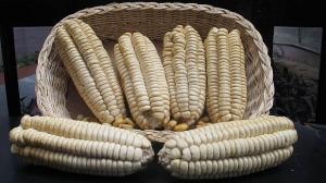 77% del total de exportaciones de maíz blanco del Cusco va para España