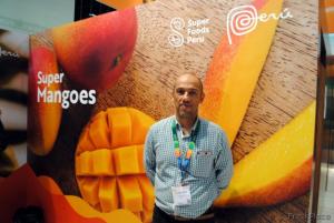 A la fecha, Perú ha exportado 1.100 contenedores de mango fresco menos que en la campaña anterior