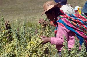 ¿A qué se enfrentan las mujeres agricultoras en el Perú?
