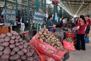 Abastecimiento de alimentos en los mercados mayoristas de Lima alcanzó ayer las 7.723 toneladas