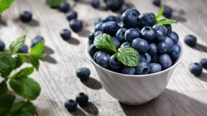 Actual temporada de arándanos orgánicos confirma tendencia de crecimiento sostenido en despachos