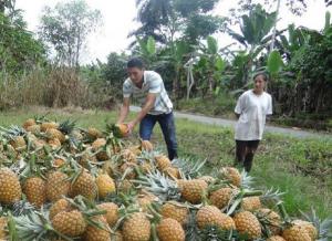 “Acuerdo comercial entre UE y Perú permitió crear más de 2.500 pymes”