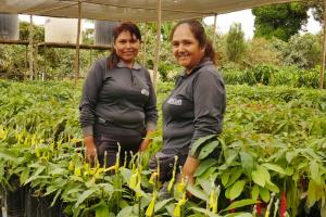 Adela y Mercedes: Un papel protagónico en el desarrollo de la agricultura en el valle de Nepeña en Áncash
