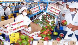 ADEX: agroexportaciones peruanas cayeron -2.8% entre enero y julio
