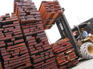 ADEX: Exportación de madera y sus productos derivados sumó US$ 122.851.000 en 2021