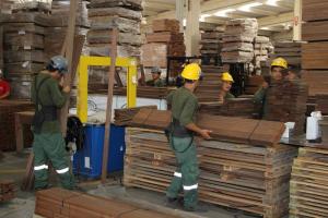 ADEX: exportaciones de madera por parte de Perú sumarían cerca de US$ 89 millones en 2023, lo que significaría una caída de -30%