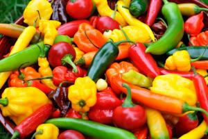 ADEX: Exportaciones peruanas de capsicum crecerían 6% en valor al cierre del año