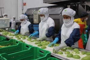 <span class='highlight'></span>A<span class='highlight'></span>D<span class='highlight'></span>E<span class='highlight'></span>X<span class='highlight'></span>:<span class='highlight'></span> <span class='highlight'></span>H<span class='highlight'></span>a<span class='highlight'></span>y<span class='highlight'></span> <span class='highlight'></span>U<span class='highlight'></span>S<span class='highlight'></span>$<span class='highlight'></span> <span class='highlight'></span>4<span class='highlight'></span>2<span class='highlight'></span>4<span class='highlight'></span> <span class='highlight'></span>m<span class='highlight'></span>i<span class='highlight'></span>l<span class='highlight'></span>l<span class='highlight'></span>o<span class='highlight'></span>n<span class='highlight'></span>e<span class='highlight'></span>s<span class='highlight'></span> <span class='highlight'></span>e<span class='highlight'></span>n<span class='highlight'></span> <span class='highlight'></span>o<span class='highlight'></span>p<span class='highlight'></span>o<span class='highlight'></span>r<span class='highlight'></span>t<span class='highlight'></span>u<span class='highlight'></span>n<span class='highlight'></span>i<span class='highlight'></span>d<span class='highlight'></span>a<span class='highlight'></span>d<span class='highlight'></span>e<span class='highlight'></span>s<span class='highlight'></span> <span class='highlight'></span>n<span class='highlight'></span>o<span class='highlight'></span> <span class='highlight'></span>a<span class='highlight'></span>p<span class='highlight'></span>r<span class='highlight'></span>o<span class='highlight'></span>v<span class='highlight'></span>e<span class='highlight'></span>c<span class='highlight'></span>h<span class='highlight'></span>a<span class='highlight'></span>d<span class='highlight'></span>a<span class='highlight'></span>s<span class='highlight'></span> <span class='highlight'></span>p<span class='highlight'></span>o<span class='highlight'></span>r<span class='highlight'></span> <span class='highlight'></span>l<span class='highlight'></span>a<span class='highlight'></span> <span class='highlight'></span>a<span class='highlight'></span>g<span class='highlight'></span>r<span class='highlight'></span>o<span class='highlight'></span>i<span class='highlight'></span>n<span class='highlight'></span>d<span class='highlight'></span>u<span class='highlight'></span>s<span class='highlight'></span>t<span class='highlight'></span>r<span class='highlight'></span>i<span class='highlight'></span>a<span class='highlight'></span> <span class='highlight'></span>e<span class='highlight'></span>n<span class='highlight'></span> <span class='highlight'></span>e<span class='highlight'></span>l<span class='highlight'></span> <span class='highlight'></span>m<span class='highlight'></span>e<span class='highlight'></span>r<span class='highlight'></span>c<span class='highlight'></span>a<span class='highlight'></span>d<span class='highlight'></span>o<span class='highlight'></span> <span class='highlight'></span>a<span class='highlight'></span>u<span class='highlight'></span>s<span class='highlight'></span>t<span class='highlight'></span>r<span class='highlight'></span>a<span class='highlight'></span>l<span class='highlight'></span>i<span class='highlight'></span>a<span class='highlight'></span>n<span class='highlight'></span>o<span class='highlight'></span>