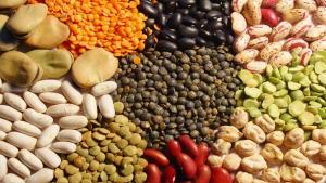 ADEX impulsa diálogo con Sunat para promover competitividad