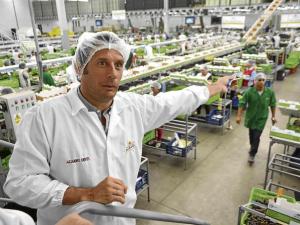 Agrícola Don Ricardo proyecta crecer 15% en facturación este año