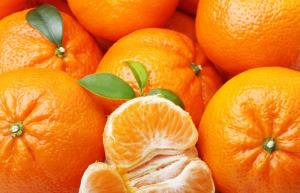 Agrícola Pampa Baja proyecta exportar 1.850 toneladas de mandarinas W.Murcott en la campaña 2021