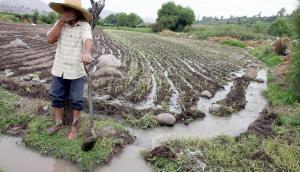 Agricultores afectados por El Niño Costero con  deudas vencidas podrán acogerse a facilidades financieras