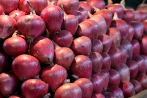 Agricultores de Arequipa exportan 26 toneladas de cebolla a 12 supermercados de Brasil