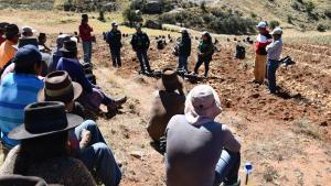 Agricultores de Ayacucho se convierten en productores certificados de semillas de cultivo de alto valor