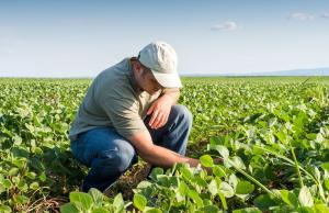Agricultura orgánica: facilitar canales de comercialización es clave para apuntalar a los pequeños productores