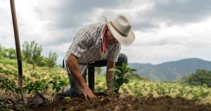 Agricultura Orgánica: Un sistema productivo innovador que promueve la inclusión de género y juventud en América Latina y el Caribe