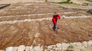 Agro Rural avanza en la rehabilitación de andenes y proyectos de siembra y cosecha de agua