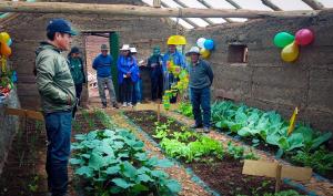 Agro Rural construyó 140 cobertizos y 250 fitotoldos en Junín para mitigar efectos de heladas