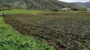 Agro Rural culmina entrega de 705 kits de riego para mitigar impacto de déficit hídrico en regiones del centro y sur