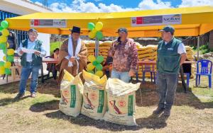 Agro Rural destina 90 toneladas de guano de las islas a pequeños productores de zonas más alejadas de Ayacucho