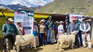 Agro Rural destina S/ 195.666 en equipos y materiales para producción ovina en Arequipa