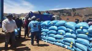 Agro Rural distribuye 312 toneladas de semillas de avena forrajera en Puno