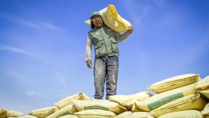 Agro Rural distribuyó 727 toneladas de guano de las islas en Arequipa