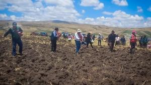 Agro Rural entregó 79.396 kilos de semilla para instalar 1.190 hectáreas de pastos en Junín